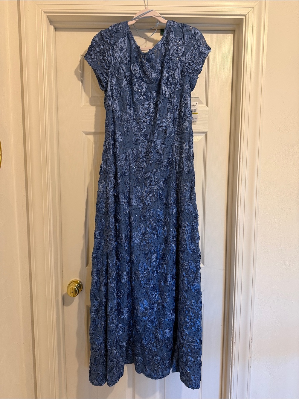 NWT- Alex Evenings Steel Blue Embroidered Cap Sleeve Maxi Gown